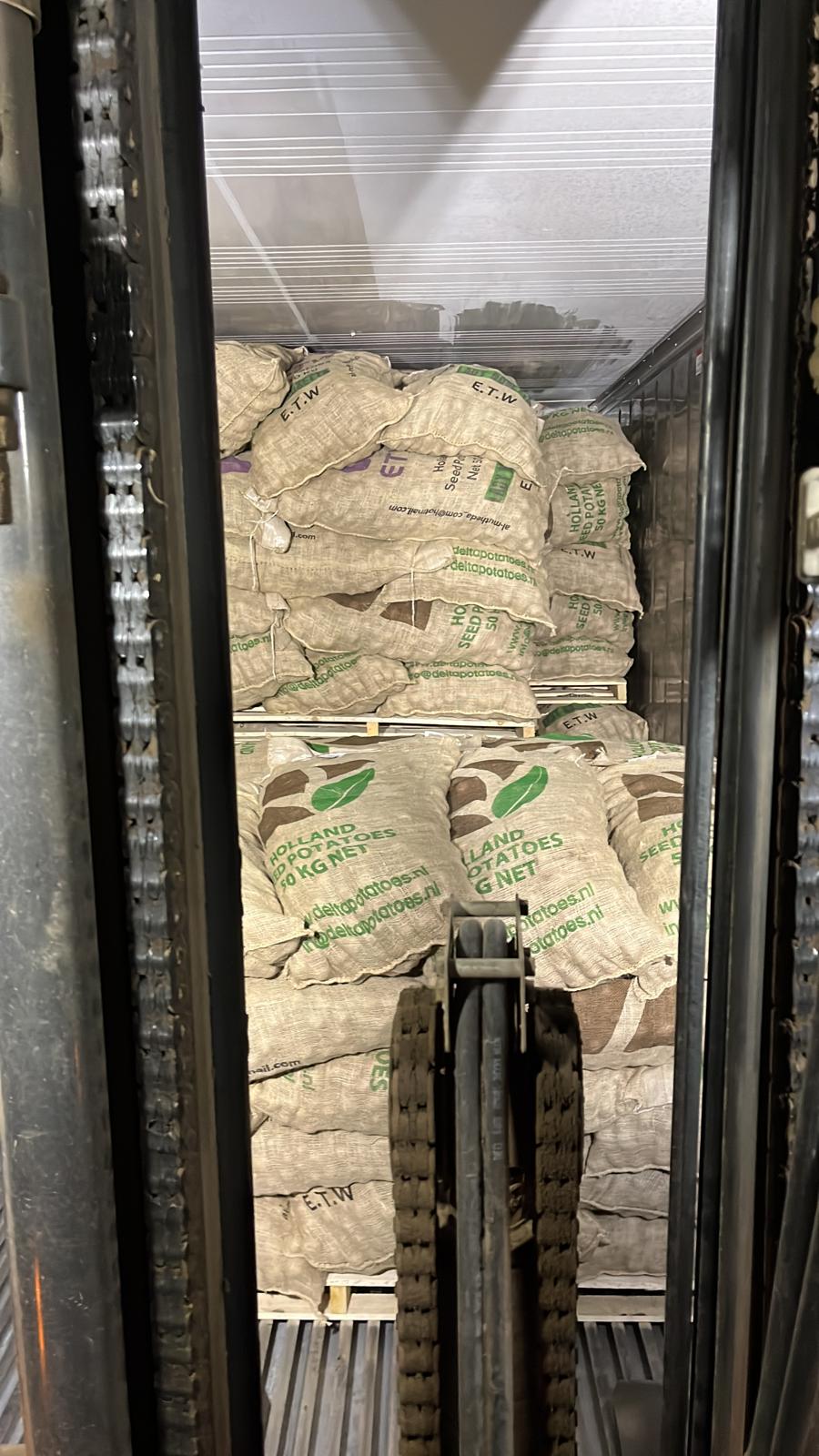 Loading Lady Rosetta 